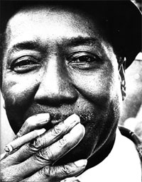 muddy waters