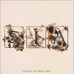 Sia - Colour the Small One