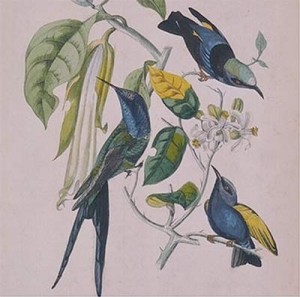 Susumu Yokota Susumu Yokota