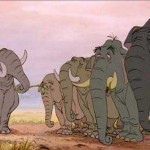 marche des elephants