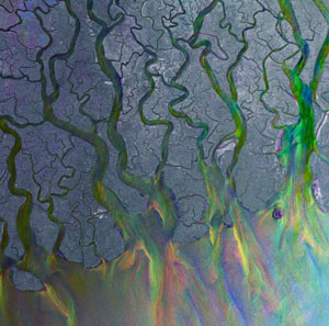 alt j - an awesome wave