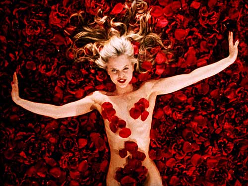 American Beauty American Beauty